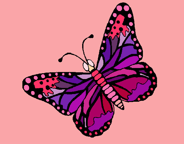 Dibujo Mariposa 4 pintado por Jade1D