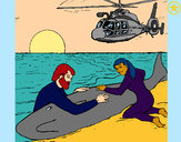 Dibujo Rescate ballena pintado por yireth