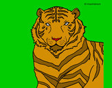 Dibujo Tigre 3 pintado por kittylove