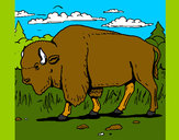 Dibujo Búfalo  pintado por ATRAM