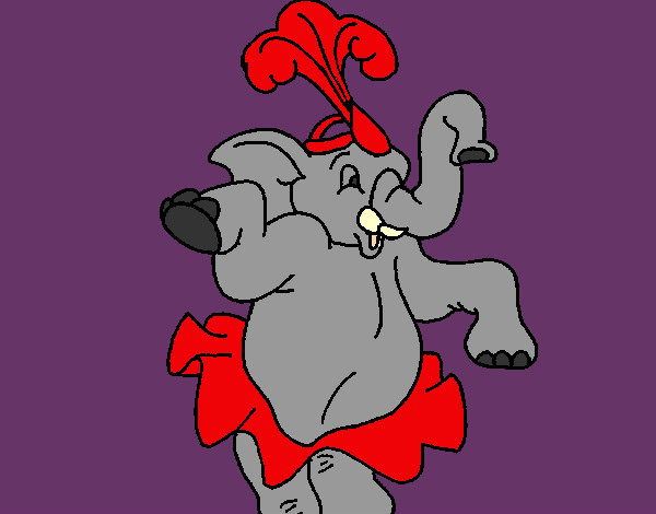 Elefante bailando