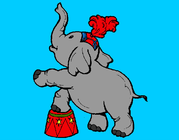 Elefante