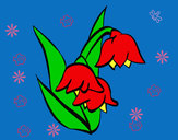 Dibujo Flor de Brugmansia pintado por teresita77