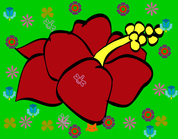Dibujo Flor de lagunaria pintado por teresita77