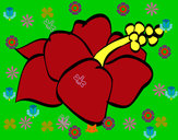 Dibujo Flor de lagunaria pintado por teresita77