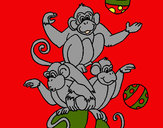 Dibujo Monos haciendo malabares pintado por amalia