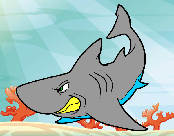 Dibujo Tiburón enfadado pintado por angry0704