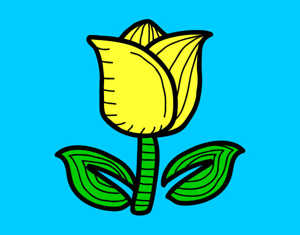 Dibujo Tulipán pintado por azzu