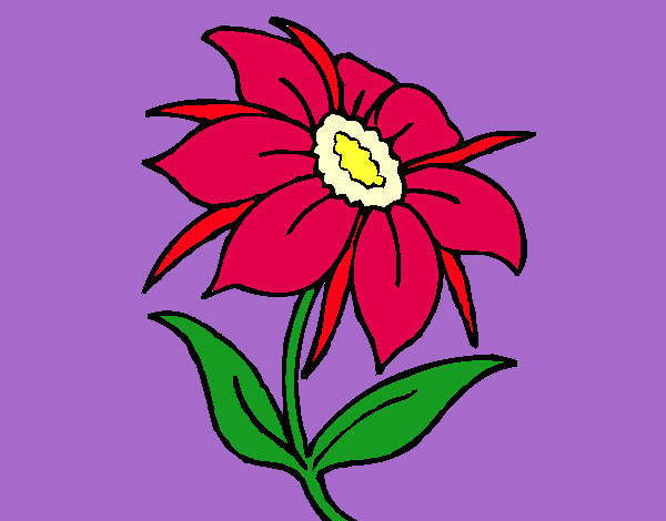 Dibujo Flor silvestre 1 pintado por lilima