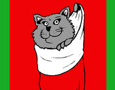 Dibujo Gato dentro de una calcetín pintado por eunjung