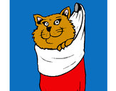 Dibujo Gato dentro de una calcetín pintado por nenilina
