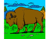 Dibujo Búfalo  pintado por kittylove