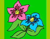 Dibujo Flores 3 pintado por MOGLI