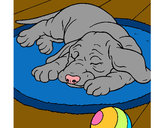 Dibujo Perro durmiendo pintado por MOGLI