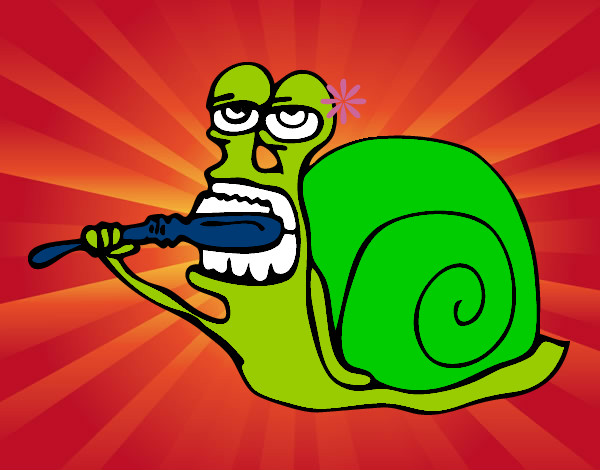 Caracol limpio