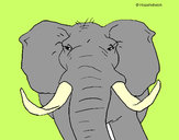 Dibujo Elefante africano pintado por Danneliese