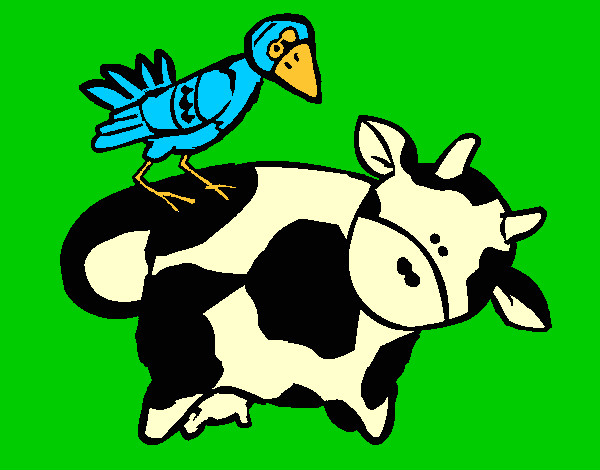 Vaca y pájaro