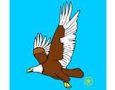 Dibujo Águila volando pintado por yamnielys
