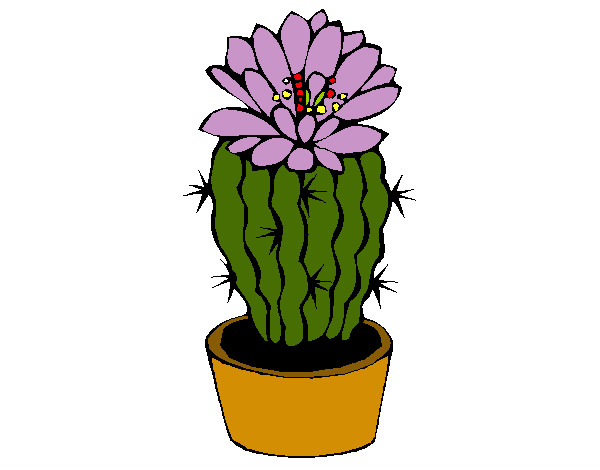 Dibujo Cactus con flor pintado por Charini