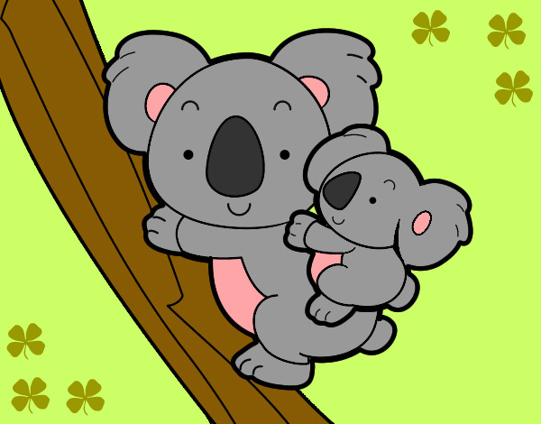 Madre koala