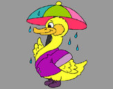 Dibujo Pato bajo la lluvia pintado por Ruthb