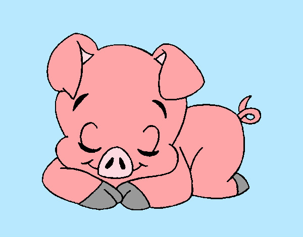 Cerdito durmiendo