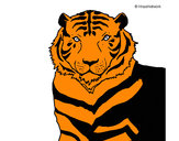 Dibujo Tigre 3 pintado por DEMIAN4