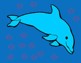 Dibujo Delfín contento pintado por 21-09Lulu