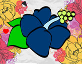 Dibujo Flor de lagunaria pintado por camila2313