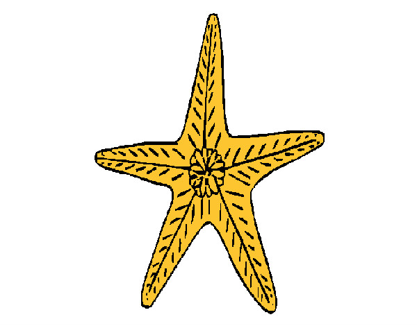 Dibujo Estrella de mar pintado por patotania