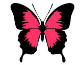 Dibujo Mariposa con alas negras pintado por iaruchisss
