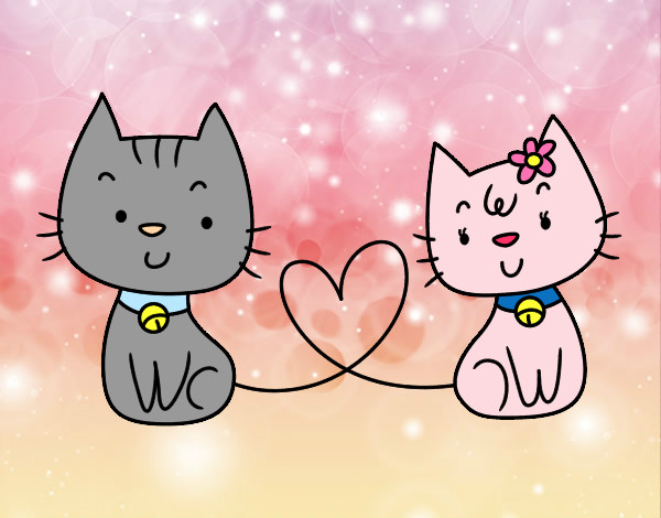 Gatos enamorados