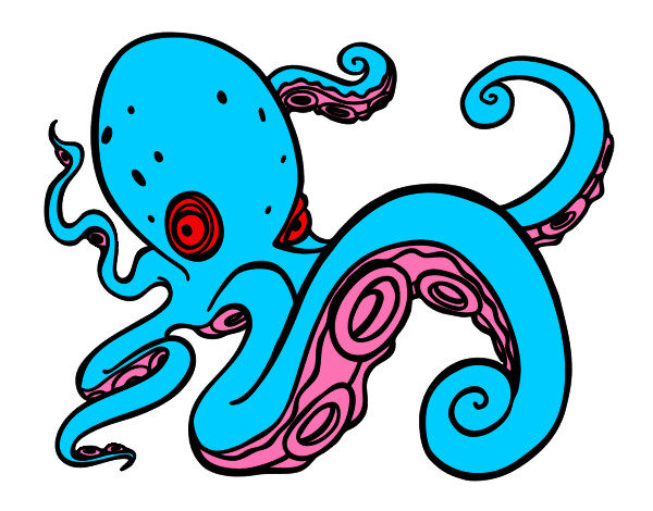 Pulpo enfadado