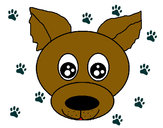 Dibujo Cara de cachorro pintado por AxeSchmidt