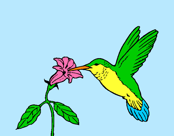 Dibujo Colibrí y una flor pintado por LuciTini