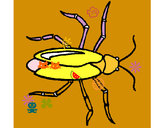 Dibujo Cucaracha pintado por luisfran10
