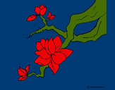 Dibujo Flor de almendro pintado por amalia