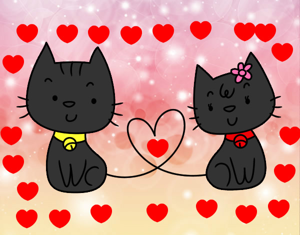 Gatos enamorados