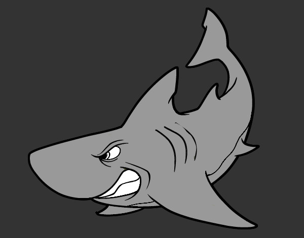 Dibujo Tiburón enfadado pintado por javiz
