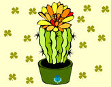 Dibujo Cactus con flor pintado por ardnas