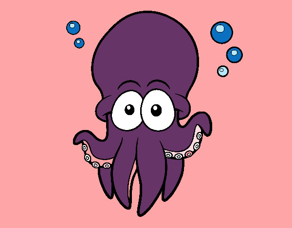 Pulpo rojo