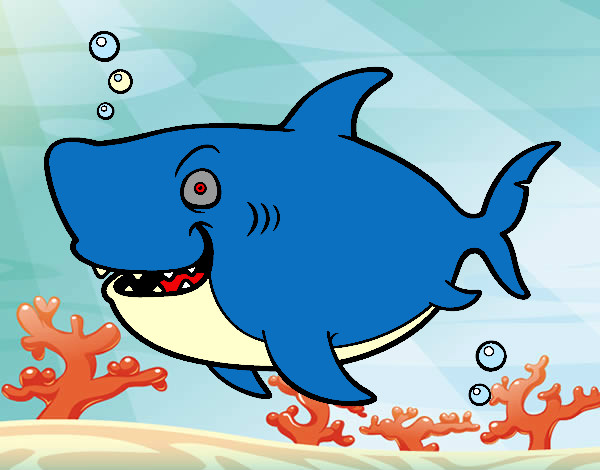 Tiburón ballena
