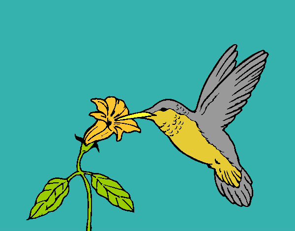 Dibujo Colibrí y una flor pintado por ardnas