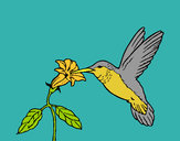 Dibujo Colibrí y una flor pintado por ardnas