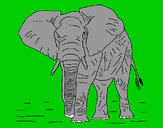 Dibujo Elefante 1 pintado por josepakito