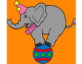 Dibujo Elefante encima de una pelota pintado por carmen1