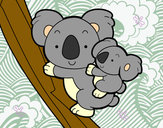 Dibujo Madre koala pintado por aha00