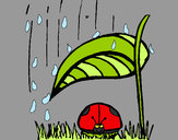 Dibujo Mariquita protegida de la lluvia pintado por ardnas