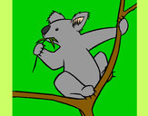 Dibujo Koala pintado por PINGUITO8