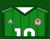 Dibujo Camiseta del mundial de fútbol 2014 de Nigeria pintado por elturro